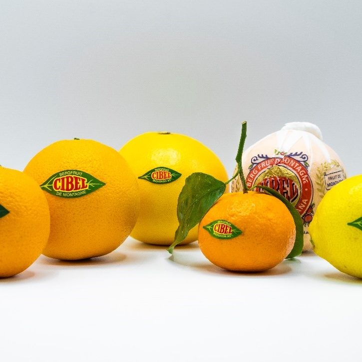 central_citrus